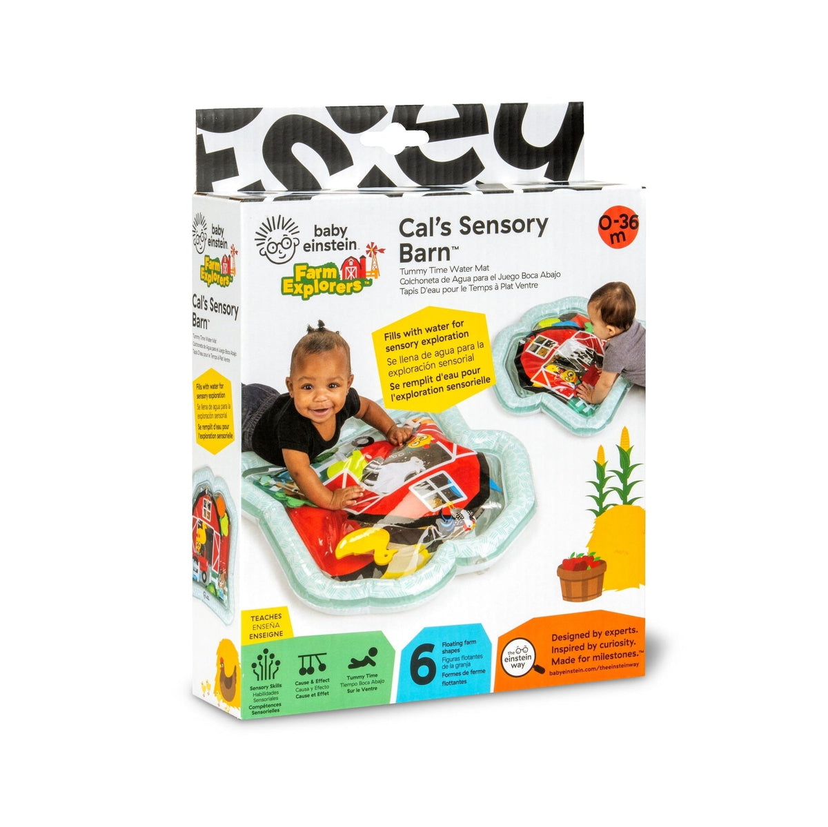 Baby Einstein Cal's Sensory Barn Tummy Time Water Mat I2M1 - product image 1