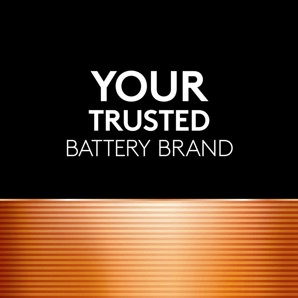 Coppertop AAA Batteries, Alkaline, 20-pk D3T2 - product image 2