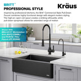 Britt Commercial Style Pull-Down Single Handle Kitchen Faucet, Matte Black F7P3 - product image 6