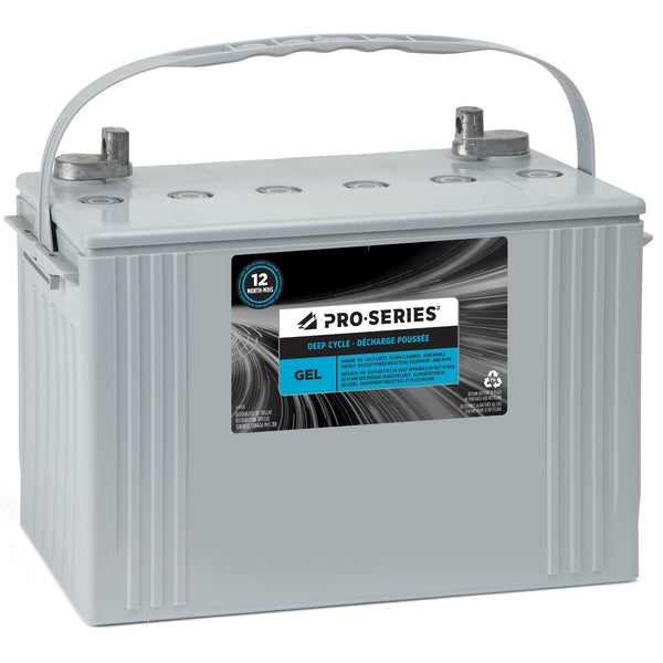 PRO-SERIES Gel Group Size GC2 6-Volt Battery F0U1
