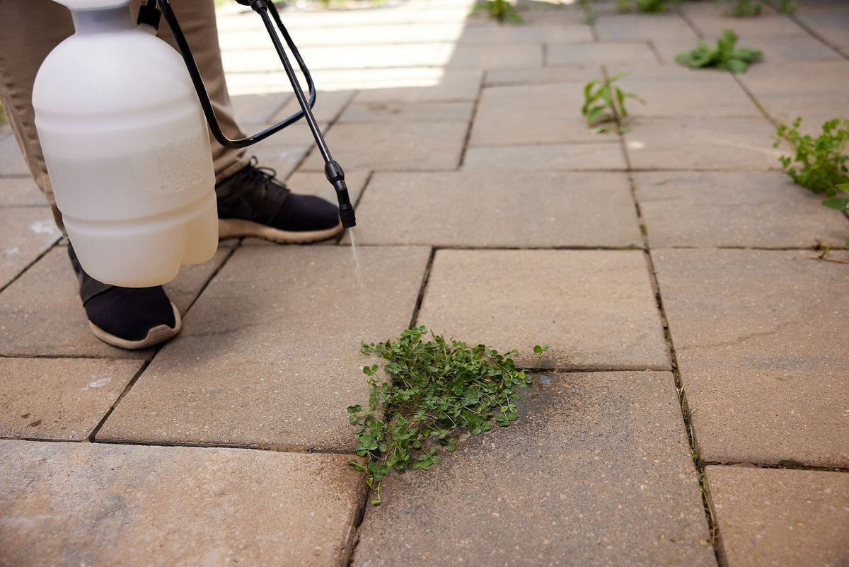 Non-Selective Herbicide Grass & Weed Control Killer Concentrate, 1-L I7N6 - product image 5