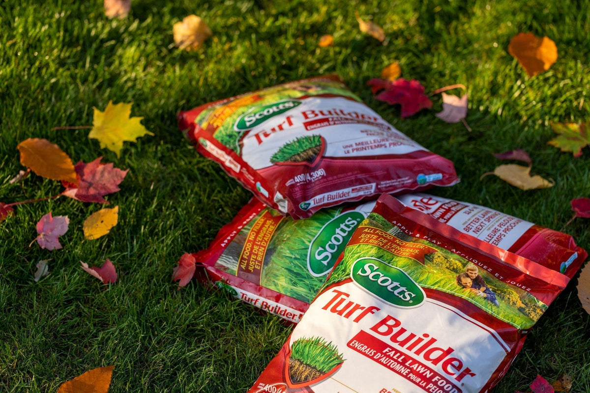 Turf Builder Fall Lawn Fertilizer, 5.25-kg V2A5 - product image 4