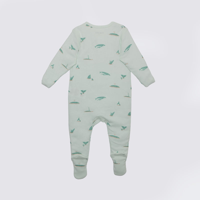 The Elk Baby Whale Print Premium Organic Cotton Play and Grow Zippy, Various Sizes W0K4